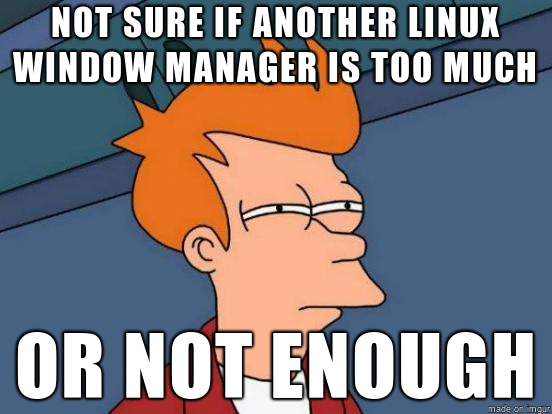 NOT SURE IF ANOTHER LINUX WINDOW MANAGER IS TOO MUCH OR NOT ENOUGH